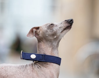 Plump Martingale Collar