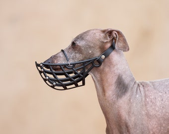 Muzzle for Italian Greyhound Lightweight Soft Plastic Basket Muzzle Iggy Coursing Italian Greyhound Racing Iggy Muzzle Dog Approved by FCI Etsy