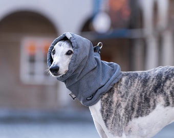 Schlauchschal S.M. Windhund, Whippet, Iggy, Italian Greyhound, Saluki