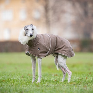 Whippet winter coat iggy warm coat italian greyhound clothing whippet coat galgo pet supplies dog clothes personalized dog gift PELLICCIA