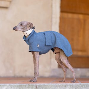 Greyhound Rain Coat Winter Protection Waterproof Walking Gear Custom Embroidery Option High Neck Design Weather Proof Shell Reflective Safety Trim Harness Opening Feature Fleece Interior Lining Adjustable Fit Breathable Material Outdoor