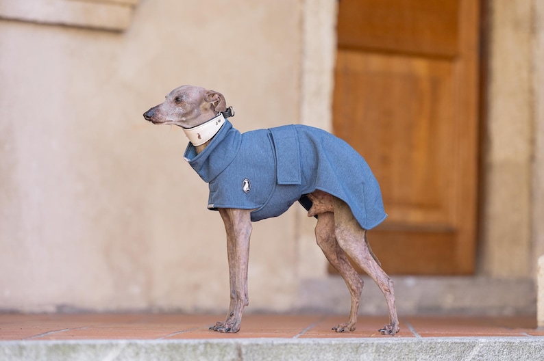 Greyhound Rain Coat Winter Protection Waterproof Walking Gear Custom Embroidery Option High Neck Design Weather Proof Shell Reflective Safety Trim Harness Opening Feature Fleece Interior Lining Adjustable Fit Breathable Material Outdoor