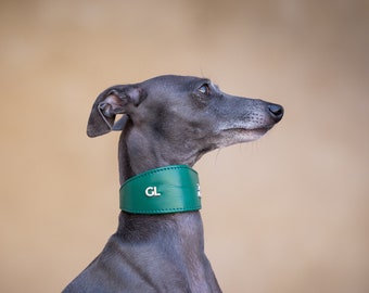 Leather Collar Woods, Iggy collar, Whippet collar, Galgo collar, Saluki collar, Greyhound collar,Italiangreyhound collar