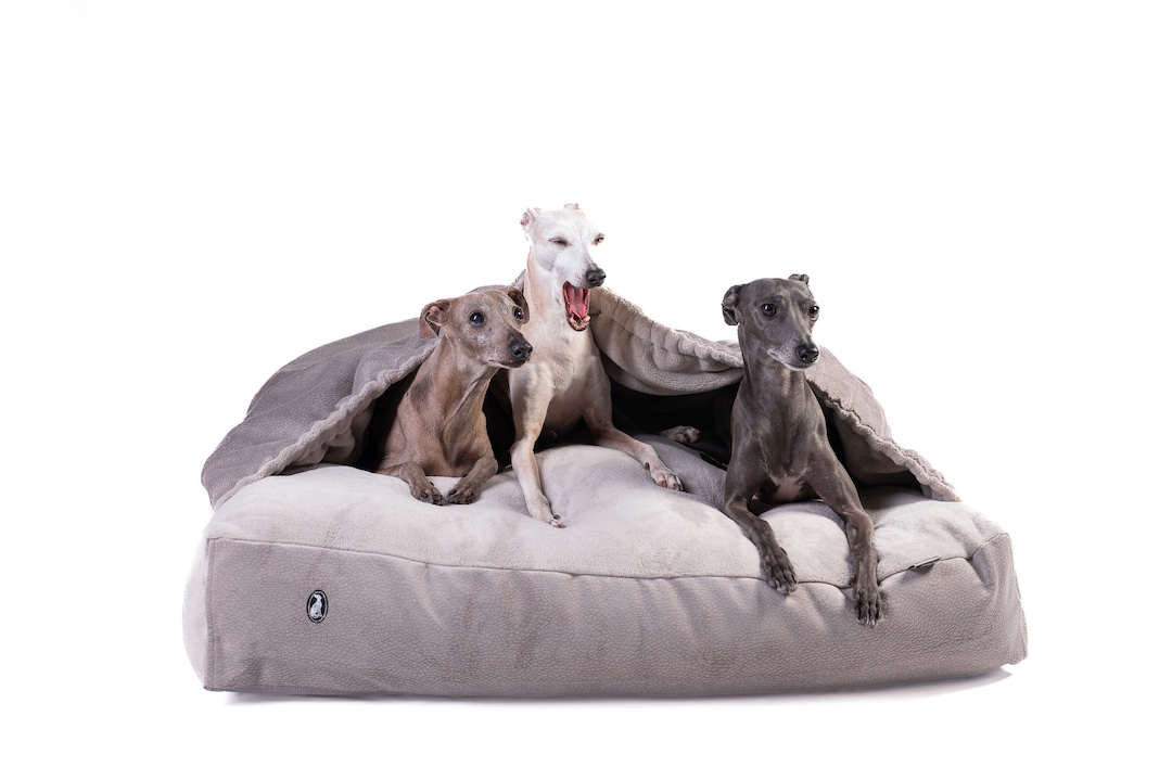 Large dog beds for greyhounds 2025