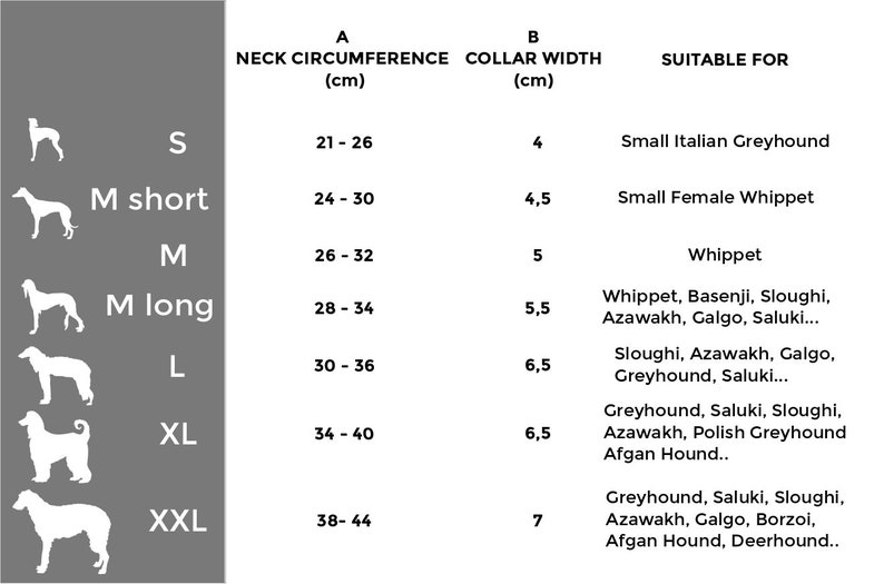 Leather Custum Dog Collar Whippet Leather Collar Italian Greyhound