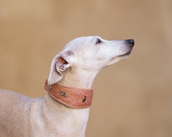 Lederhalsband Martingale Pink Alt Croc Iggy, Whippet, Galgo, Saluki, Greyhound, Italiangreyhound, Azawakh, Barsoj, Afgan Hound