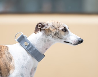 Gray Adjustable Collar