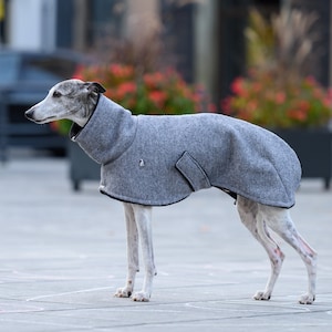Etsy greyhound coat clearance