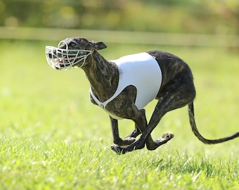 Lure coursing shirt