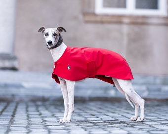 Race Jacket Shell, greyhound jacket, whippet jacket, iggy jacket,italiangreyhound jacket