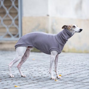 Sighthound Specific Design Whippet Warm Pullover Soft Sweater Greyhound Clothing Thermal Protection Lightweight Material Cozy Outfit Stretchy Jumper Perfect Fit Construction Italian Greyhound Apparel Winter Wear Comfortable Garment Cold