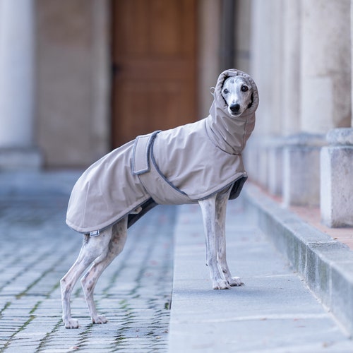 Whippet Winter Coat Waterproof Fabric Iggy Clothing Super Warm Lining Custom Greyhound Winter Wear For Dogs Covered Chest Coat High Collar