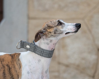 Border Tartan Martingale Collar