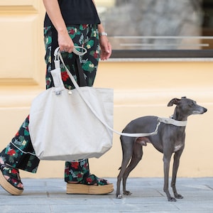 Peut inclure: Une femme en pantalon fleuri promène un lévrier italien gris en laisse. Elle porte un grand sac fourre-tout gris clair.