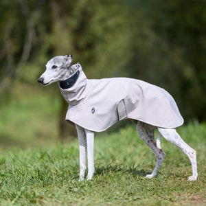 Lux Jacket Shell, greyhound jacket, whippet cjaket, iggy jacket,italiangreyhound jacket, saluki jacket