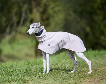 Lux Jacket Shell, greyhound jacket, whippet cjaket, iggy jacket,italiangreyhound jacket, saluki jacket