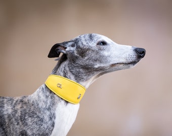 Yellow Wide Collar