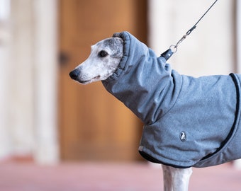 Casual winter coat S.M. ,greyhound coats, whippet coats, iggy coats,italiangreyhound coats