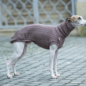 Iggy Pullover Whippet Pullover Windhund Pullover Galgo Pullover Zopfmuster Hundebekleidung Windhund Winter Wear Warmer Pullover für Hundeliebhaber Geschenk