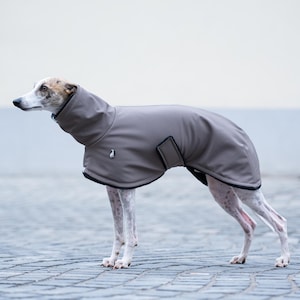 May include: A taupe dog coat with a high neck collar and black trim, featuring a small logo on the chest area. The garment is designed with a wrap-around style, secured with a side strap, and covers the back and torso of a slender, short-haired dog.