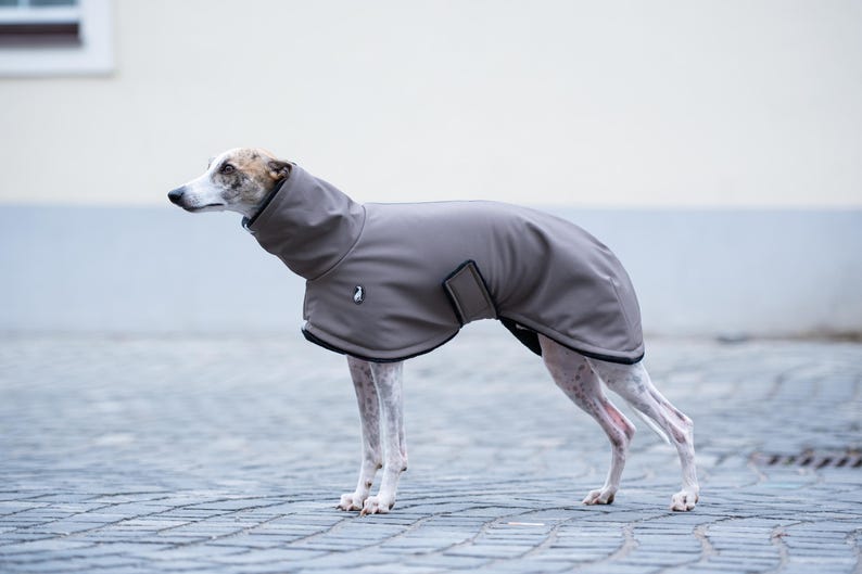 May include: A taupe dog coat with a high neck collar and black trim, featuring a small logo on the chest area. The garment is designed with a wrap-around style, secured with a side strap, and covers the back and torso of a slender, short-haired dog.