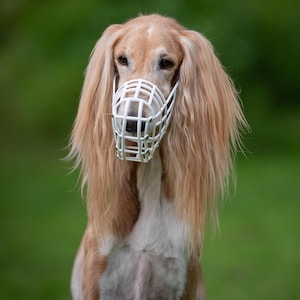 UK Made Basket Muzzle Greyhound Competition Gear FCI Approved Racing Equipment Lightweight Plastic Breathable Design Saluki Galgo Lurcher Podenco Sighthound Breeds Soft Polymer Construction Adjustable Leather Strap Coursing Training Safety