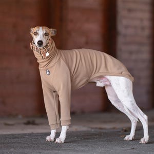 Peut inclure: Un chandail pour chien de couleur beige avec un col roulé et des manches longues. Le chandail est porté par un whippet blanc.