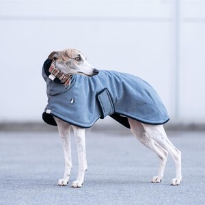 May include: A grey dog coat with a black inner lining, a high collar featuring a brown and white plaid pattern, and a small circular logo on the side. The coat is secured with a strap and is worn by a slender, light-colored dog with brown markings.