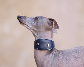 Leather Collar Blue Iggy collar, Whippet collar, Galgo collar, Saluki collar, Greyhound collar,Italiangreyhound collar