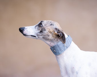 Leather Collar Blue Snake, Iggy collar, Whippet collar, Galgo collar, Saluki collar, Greyhound collar,Italiangreyhound collar