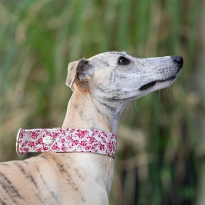Floral Martingale Collar for Italian Greyhound Walking Gear for Training Collar Design with Rose Dog Collar Size Adjustable Size for Whippet