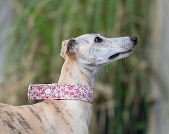 Roses Martingale Collar