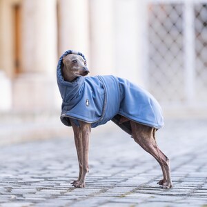 May include: A grey Italian Greyhound dog wearing a solid blue hooded coat with a small white logo patch on the side. The coat features a structured hood, a wrap-around design, and grey trim along the edges, covering the back and chest area.