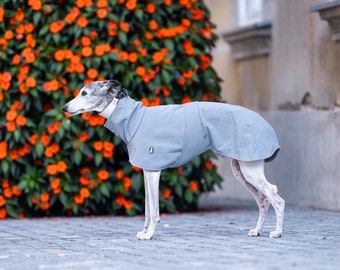 Casual Jacket Shell, greyhound jacket, whippet jacket, iggy jacket,italiangreyhound jacket, saluki jacket