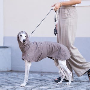 May include: A grey dog coat with an integrated hood worn by a slender dog. The coat features a small circular logo patch on the side and covers the back and neck area. The dog is attached to a thin black lead held by a person wearing beige trousers.