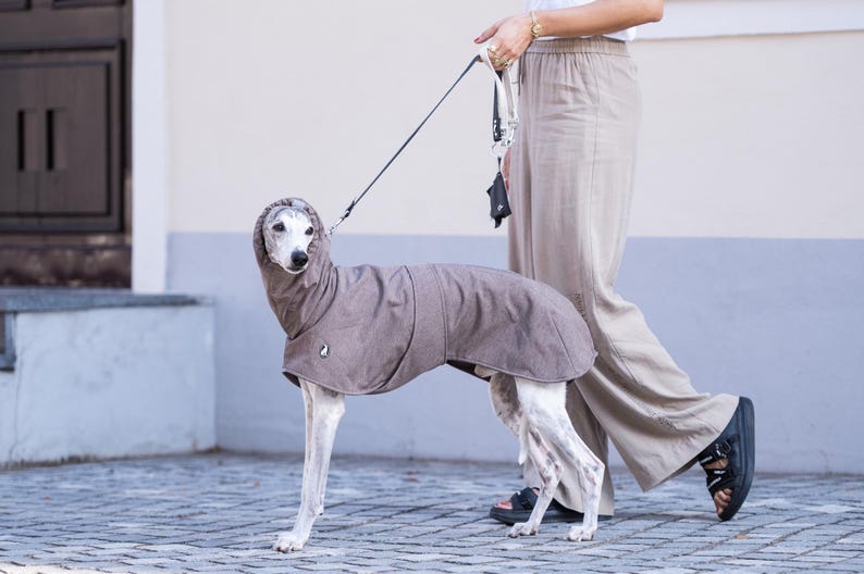 Pu&ograve; includere: Un cappotto per cani grigio con cappuccio integrato indossato da un cane snello. Il cappotto presenta una piccola toppa con logo circolare sul lato e copre la schiena e la zona del collo. Il cane &egrave; attaccato a un guinzaglio nero tenuto da una persona.