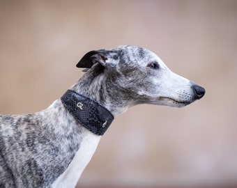 Black Snake Wide Collar