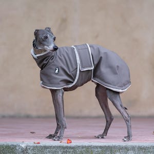 Sighthound Waterproof Coat High Neck Chest Coverage Dog Apparel Reflective Elements Windproof Protection cozy Lined Winter Jacket Whippet
