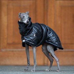 Könnte beinhalten: Ein grauer italienischer Windhund trägt einen schwarzen, gesteppten Wintermantel mit einem hohen, weichen Kragen. Der Mantel hat ein kleines weißes Logo-Patch an der Seite und ein reflektierendes graues Detail am Verschluss für volle Abdeckung.
