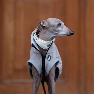 Windhund-Hundeweste wasserdichtes Material Warm Allwetterbekleidung Italienisches Windspiel Kaltwetter Beständig Mantel Reißverschluss Weste Whippet Kleidung