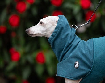 Raincoat Casual S.M. DOUBLE BELTS, greyhound coats, whippet coats, iggy coats,italiangreyhound coats