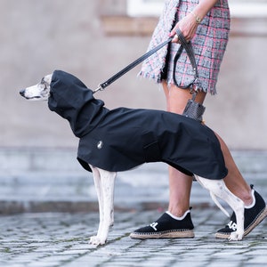 Waterproof Dog Raincoat for Sighthound Weather Protection Whippet Greyhound Iggy Saluki Coat Leash Opening Reflective Design Light Raincoat