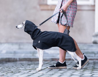 Imperméable Shell Light, manteaux de lévrier, manteaux de whippet, manteaux d'iggy, manteaux de lévrier italien