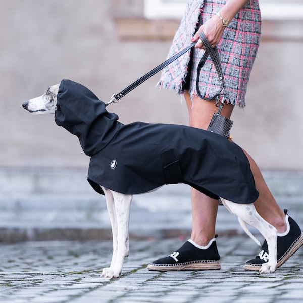 Imperméable Shell Light, manteaux de lévrier, manteaux de whippet, manteaux d'iggy, manteaux de lévrier italien