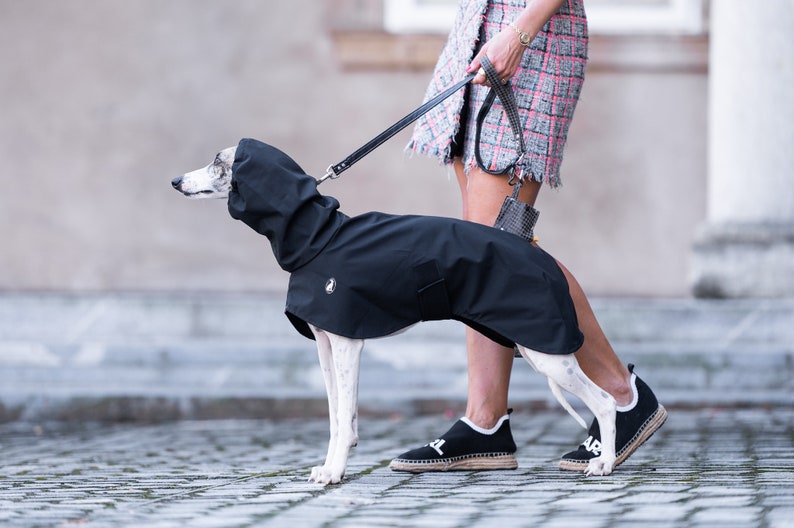 Raincoat Shell Light, greyhound coats, whippet coats, iggy coats,italiangreyhound coats image 1