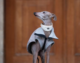 May include: A grey Italian Greyhound dog wearing a light grey fleece vest with a black zipper and a high collar, paired with a cream-colored fabric collar featuring a small circular metal emblem around its neck, looking toward the upper left.
