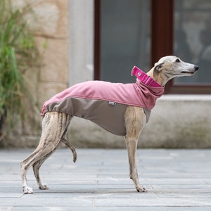 May include: A grey and pink dog coat with a pink collar. The coat has a zipper and a velcro closure. The dog is a greyhound.