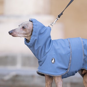 Casual Winter Coat Shell DOUBLE BELTS, greyhound coats, whippet coats, iggy coats,italiangreyhound coats image 1