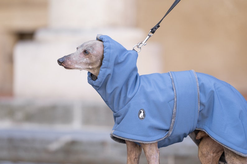 Casual Winter Coat Shell DOUBLE BELTS, greyhound coats, whippet coats, iggy coats,italiangreyhound coats image 1