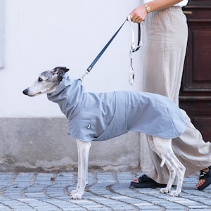 Waterproof Raincoat for Sighthound Italian Greyhound Wear Warm Whippet Coat High Collar with Leash Opening Custom Design for Winter Weather